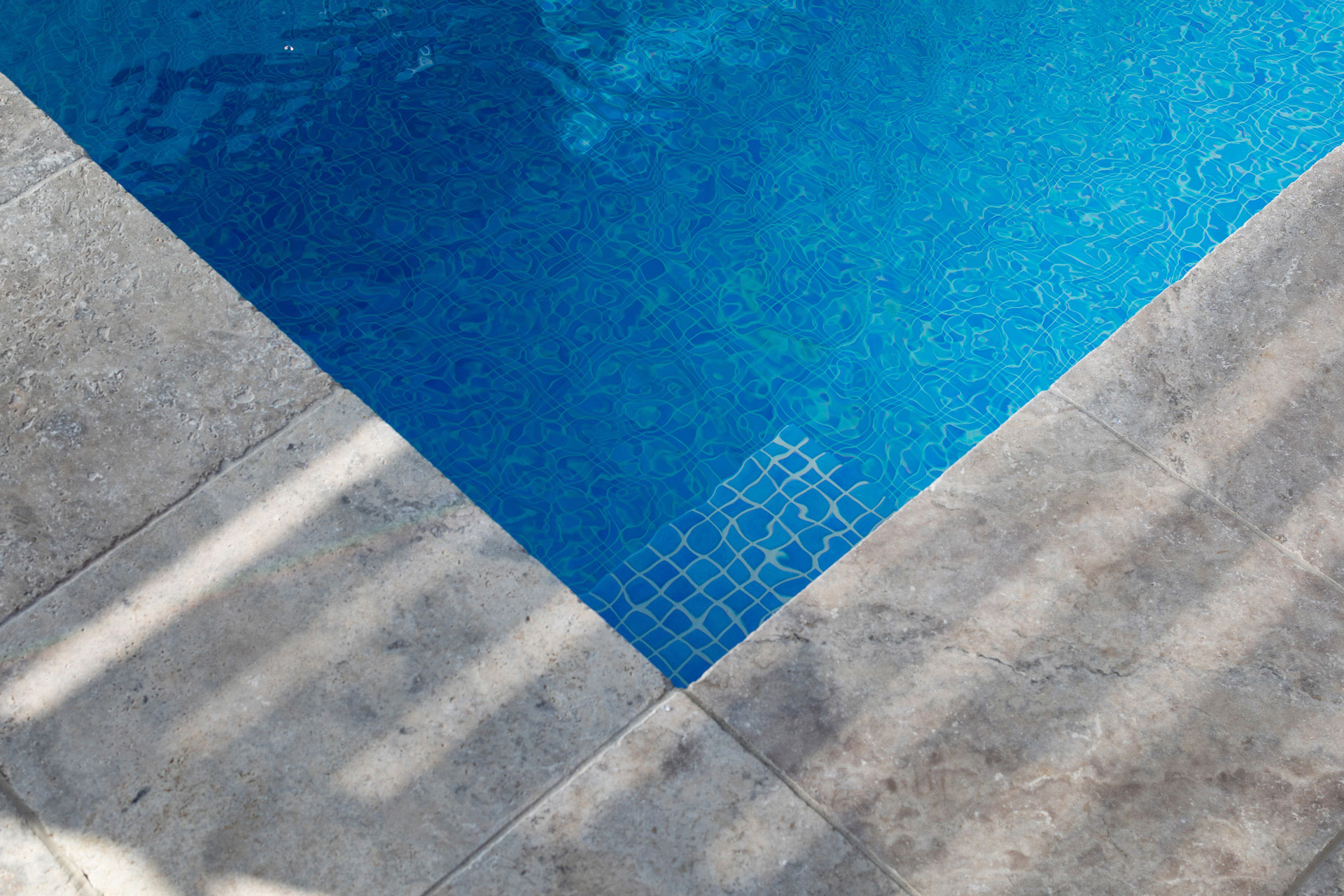 Lap Pool Dundas