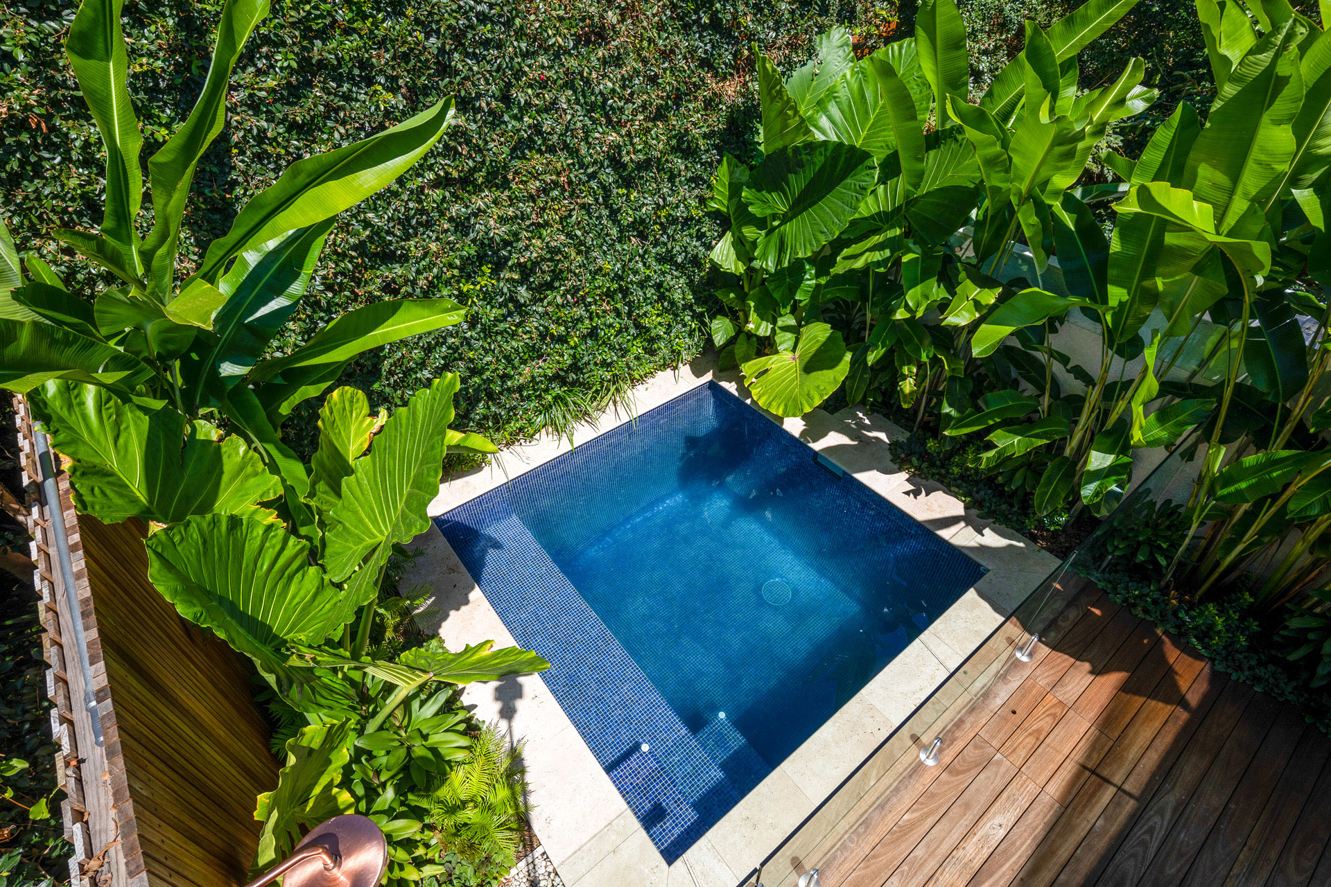 Plunge Pool Balmain