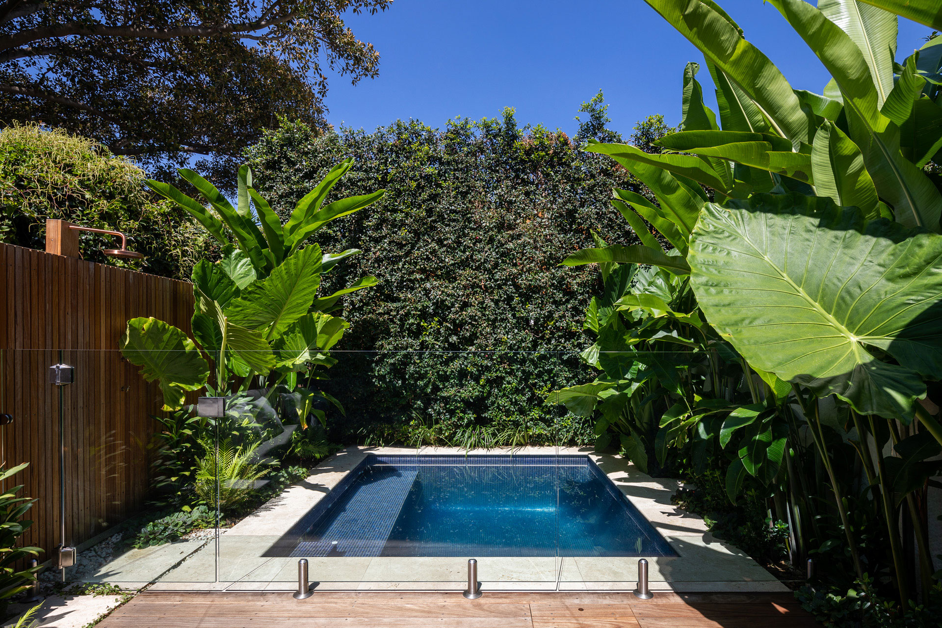 Plunge Pool Balmain