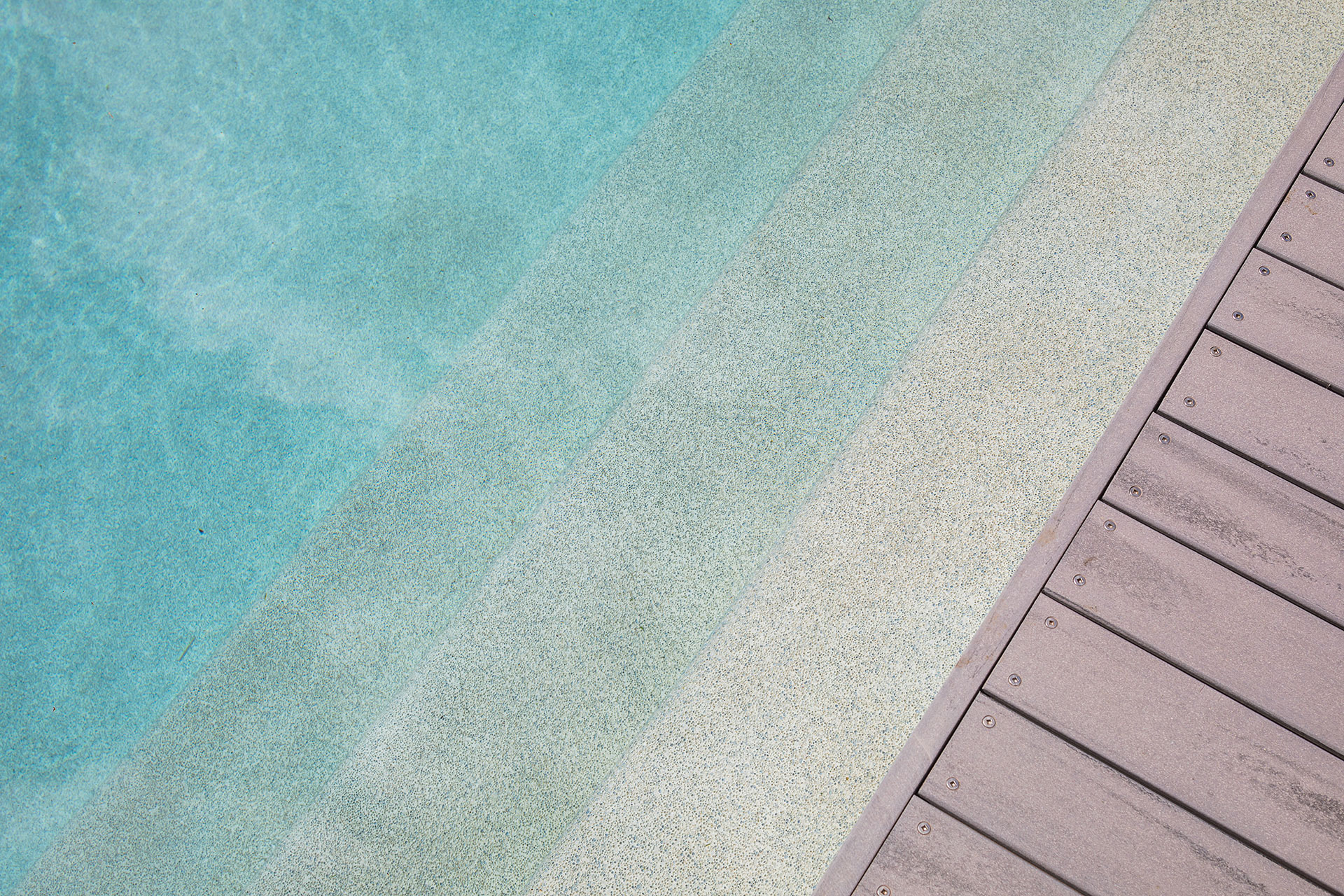 Plunge Pool Mosman