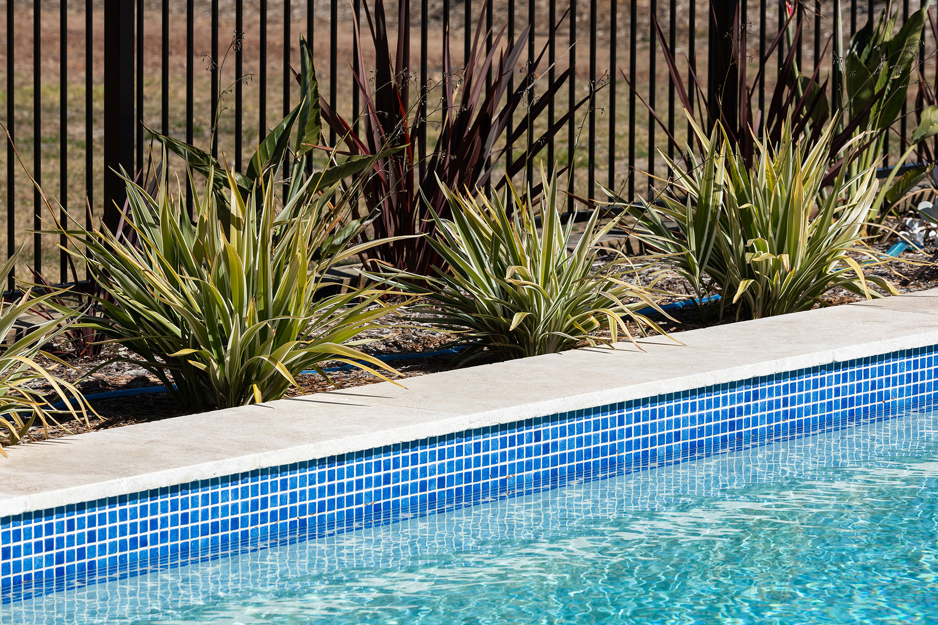 Family Pool Mulgoa